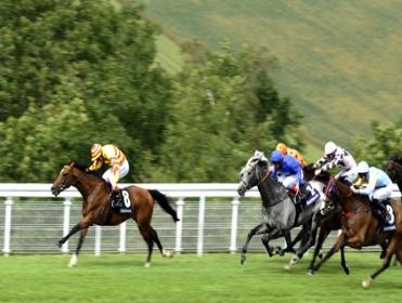 http://betting.betfair.com/horse-racing/Saddlers%20Rock%20Goodwood.jpg